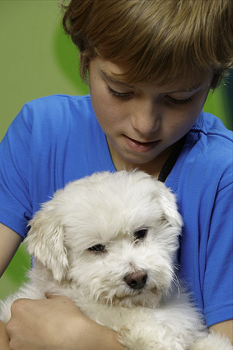 child holding a dog